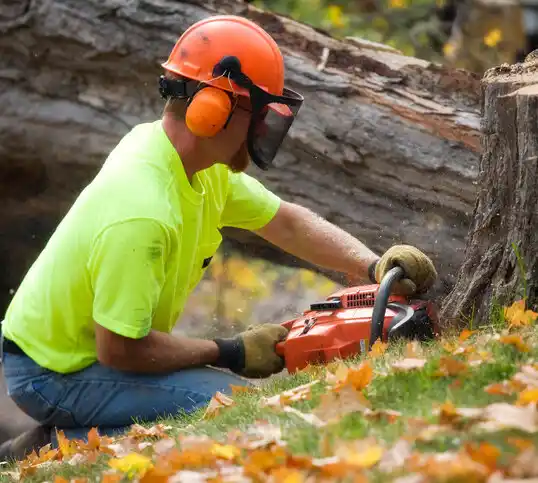 tree services Downsville